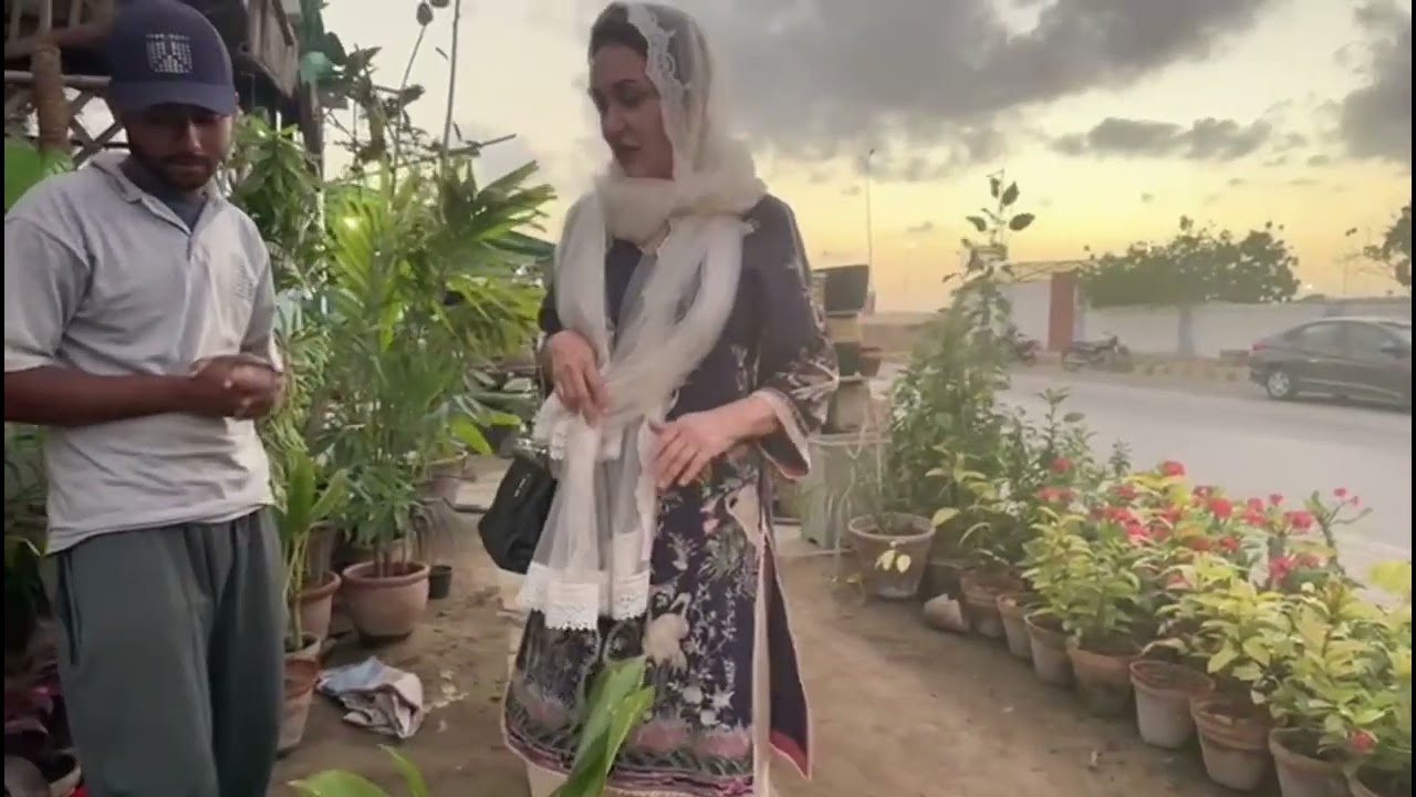Plants are life in your room. !!