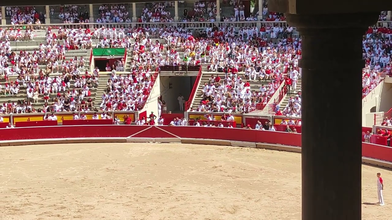 Recortadores Pamplona 2024 ,7Julio #9