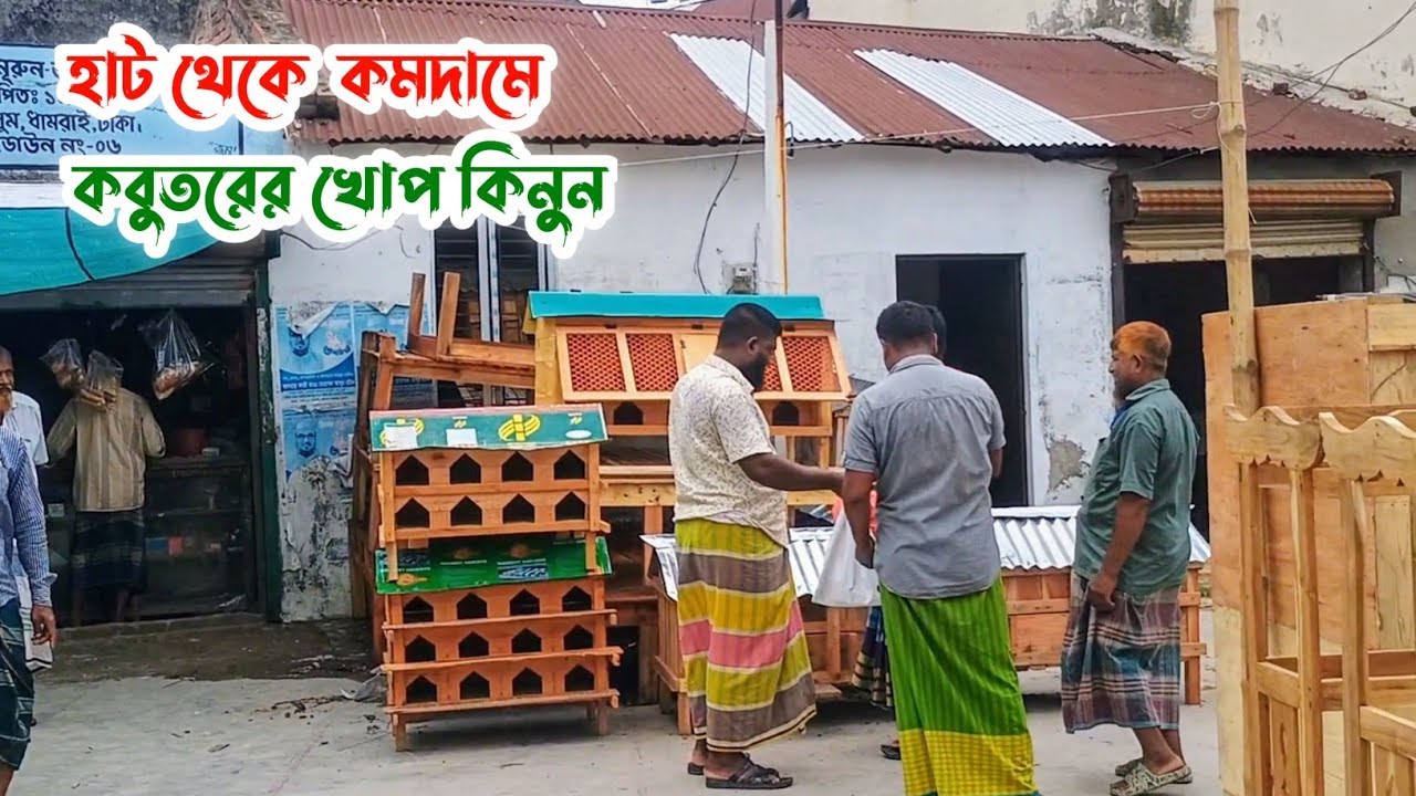 কমদামে কবুতরের ঘর কিনুন | Pigeon house price 2025