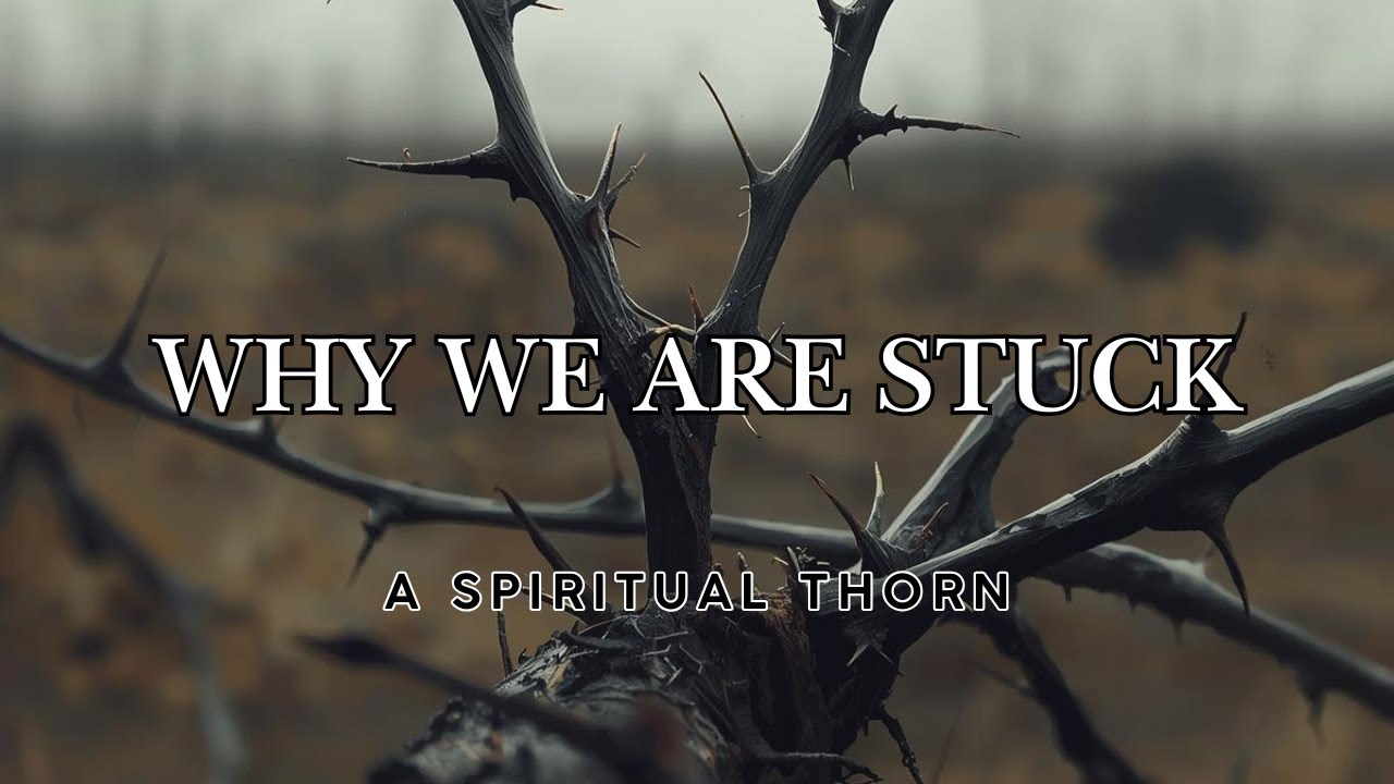 Why Partial Obedience Creates Spiritual Thorns