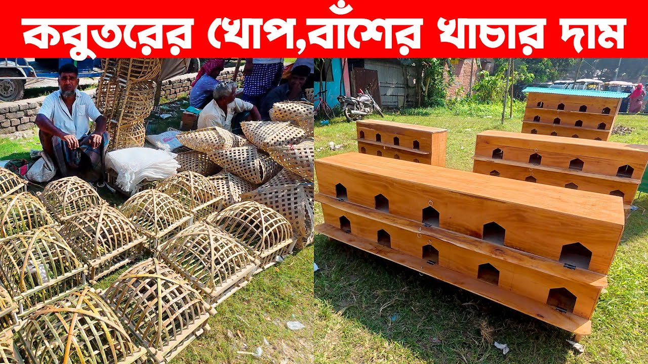 কবুতরের খোপ,বাঁশের খাচার দাম | Pakhir Khacha Dam | Bird Cage | Putia hat Narsindi