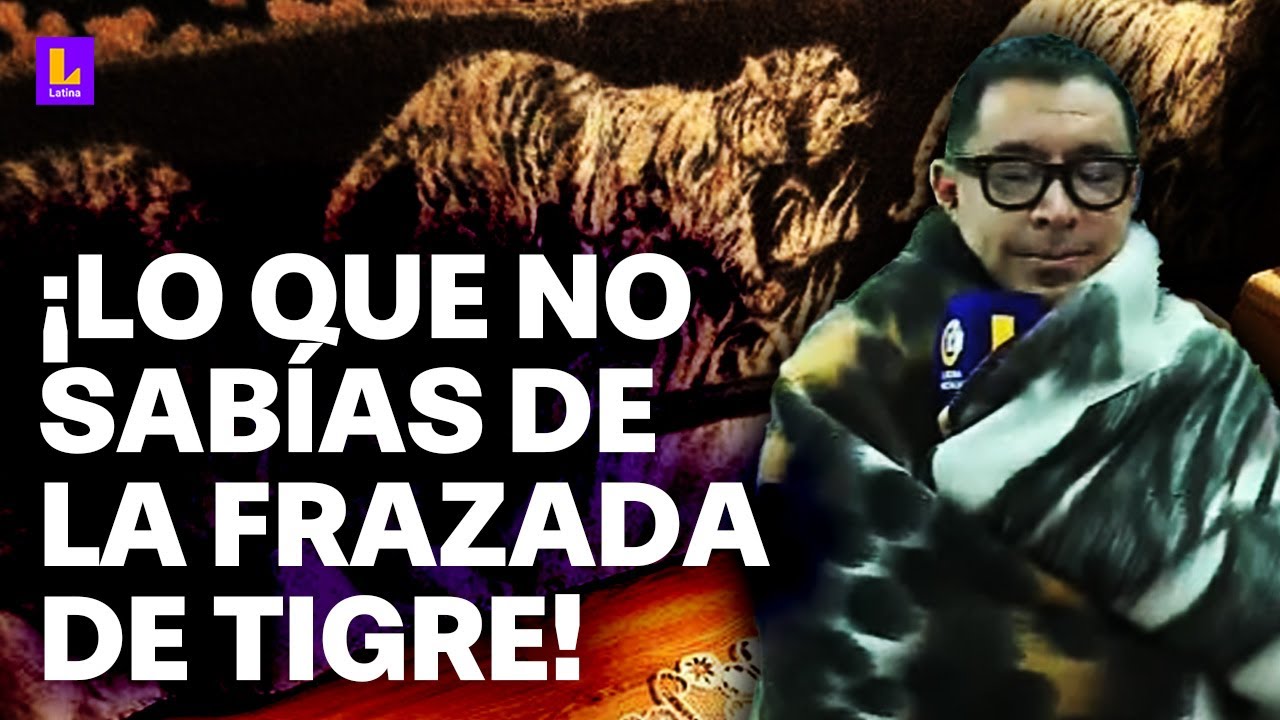 ¿De dónde vienen las frazadas de tigre? ¿Cuánto pesan? Lo que no sabías sobre este boom en Perú