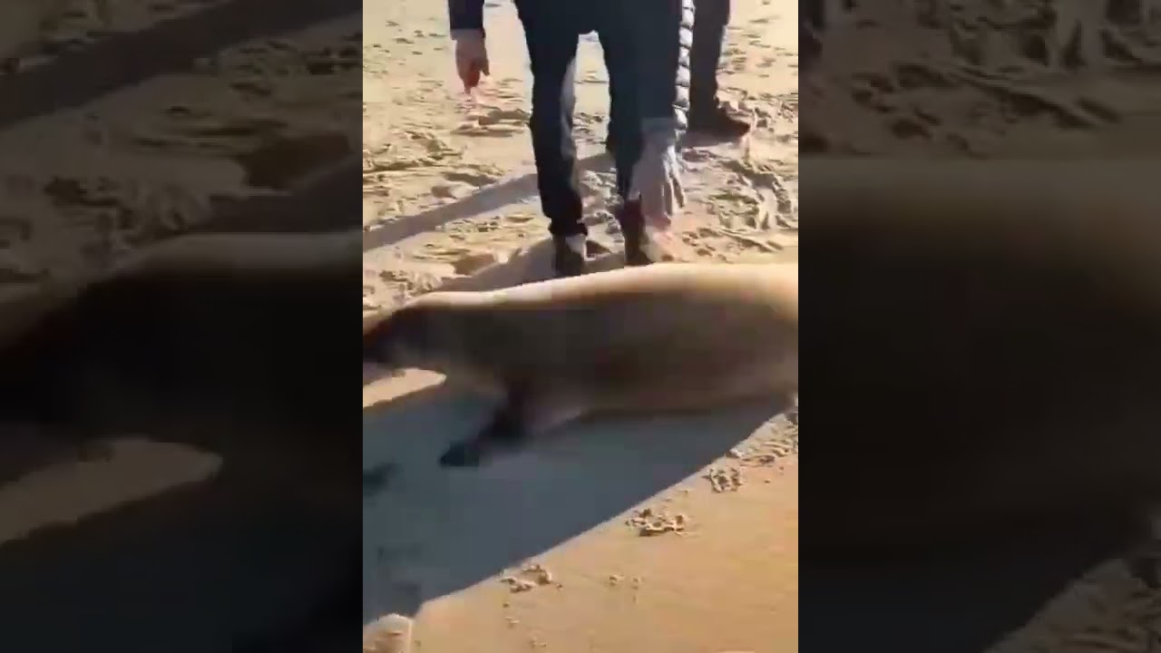 beautiful world 🌎