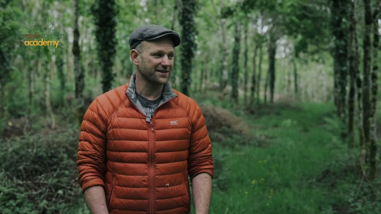 Rossa Gibbons Agroforestry, West Cork