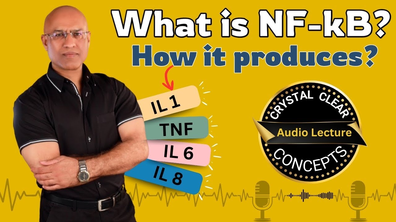 NF kappa B | Cytokines Production | IL 1 | IL 6 | IL 8 | TNF | NF-kB