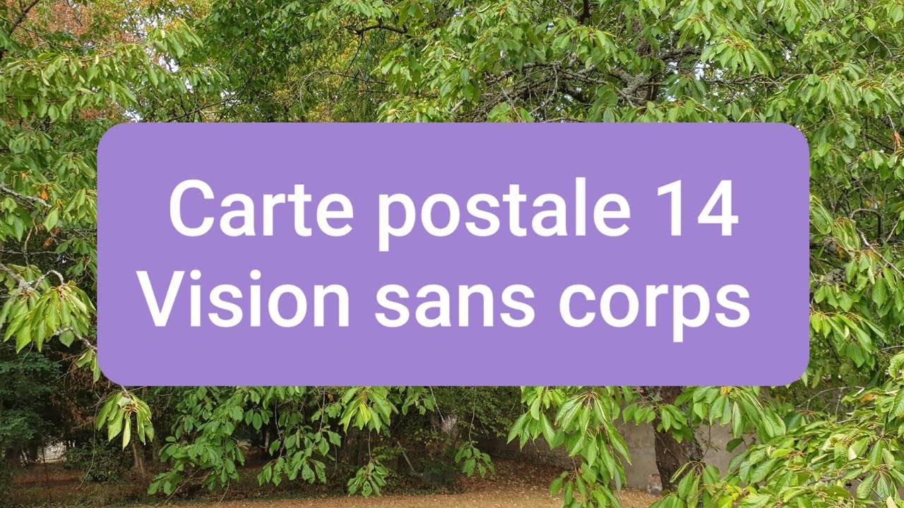Carte postale n 14 Vision sans t&ecirc;te, Vision sans corps