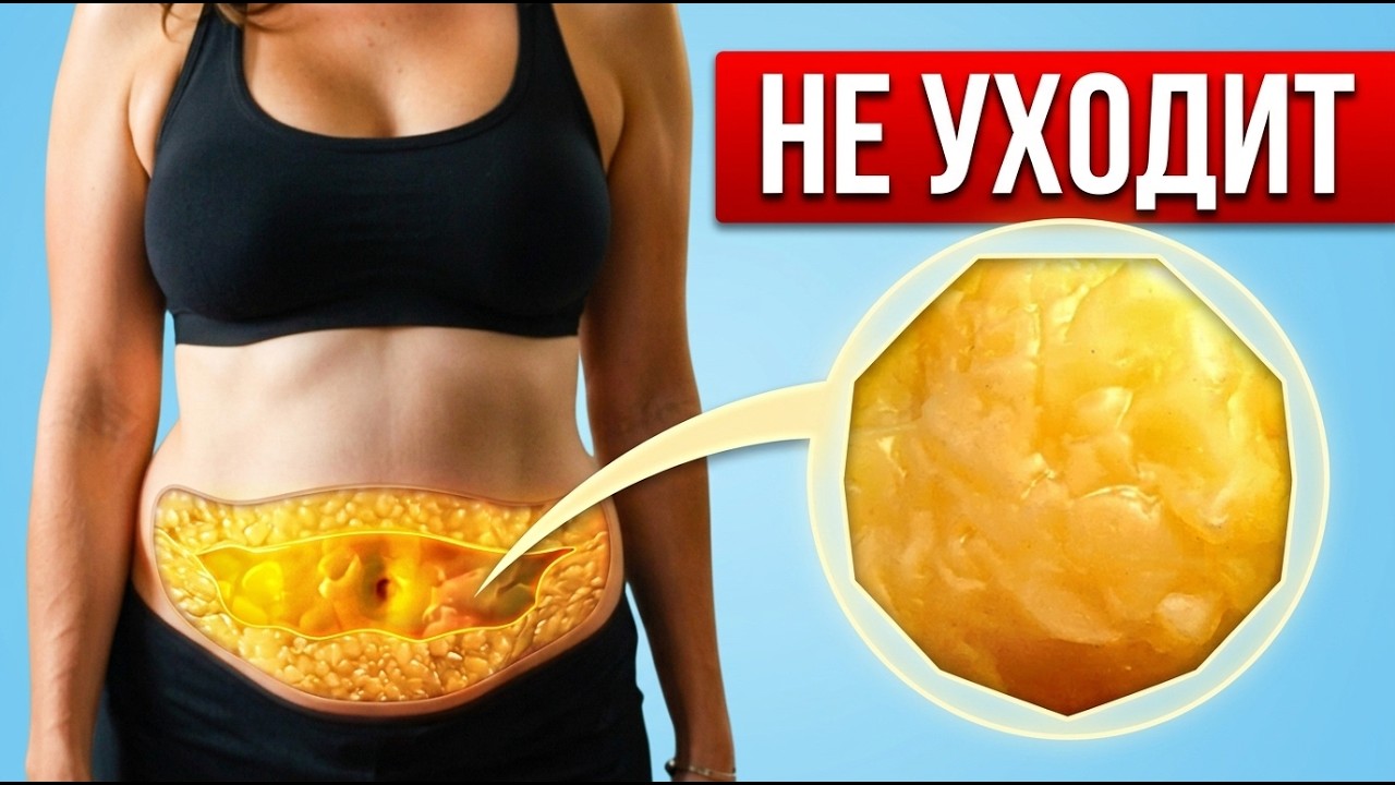 Как избавиться от жира внизу живота — 100% реально