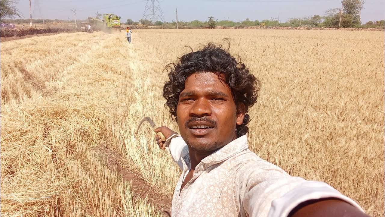 ઘઉં કાપવાનું મશીન / કટર આવ્યું ખેતરમાં! 🤠 