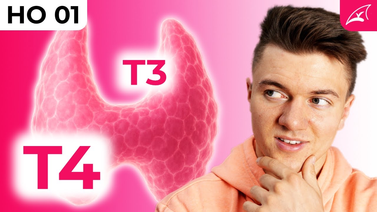 Schilddrüsenhormonsynthese - einfach erklärt! // Wie werden T3 und T4 gebildet?