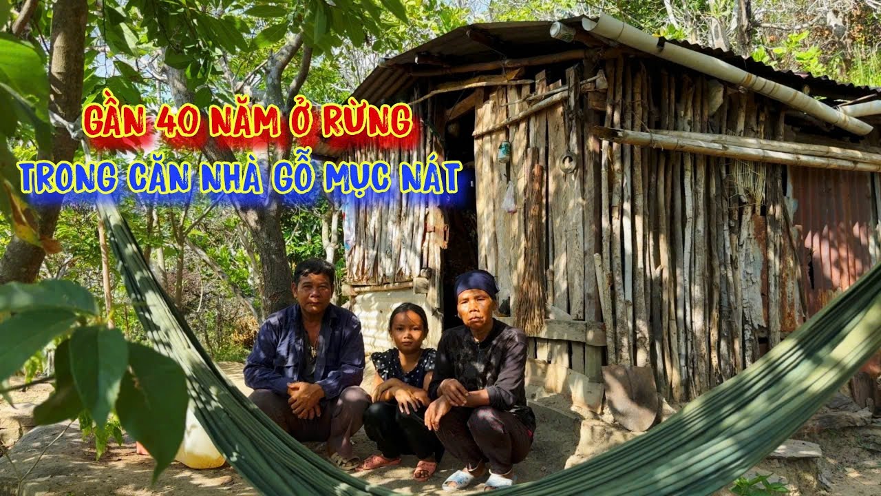 CHA RUỘT bỏ rơi CON GÁI, ông bà già, ôm cháu chạy vô rừng TRÚ ẨN - tập 1136