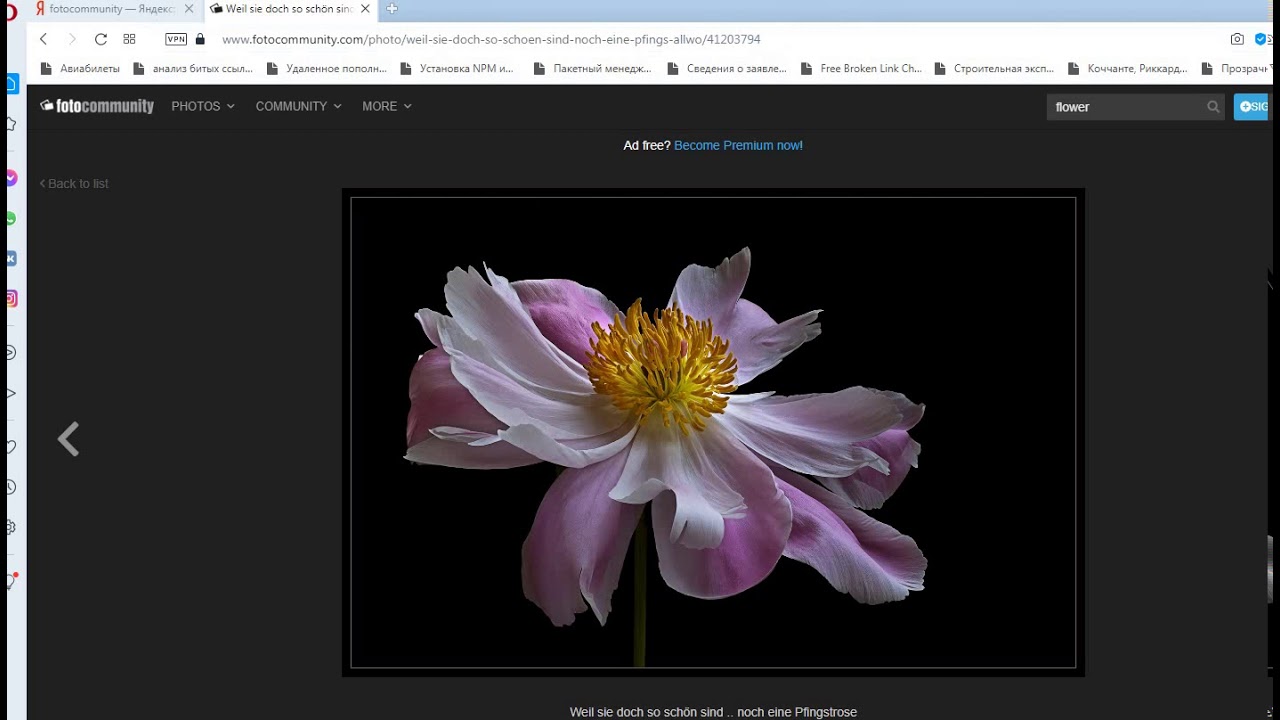 Как загрузить фото или картинку с сайта fotocommunity.com? (08 марта 2021)