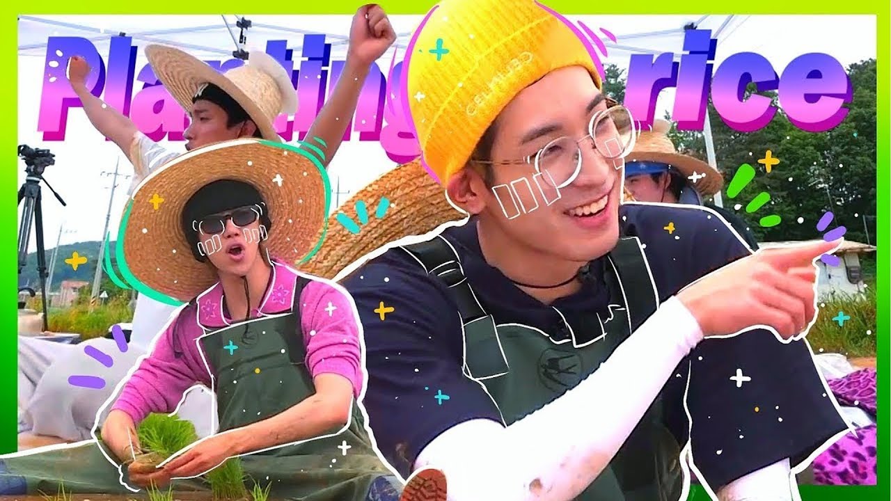 👨 🌾SEVENTEEN Being A Mess On The Paddy Field🎤🎵