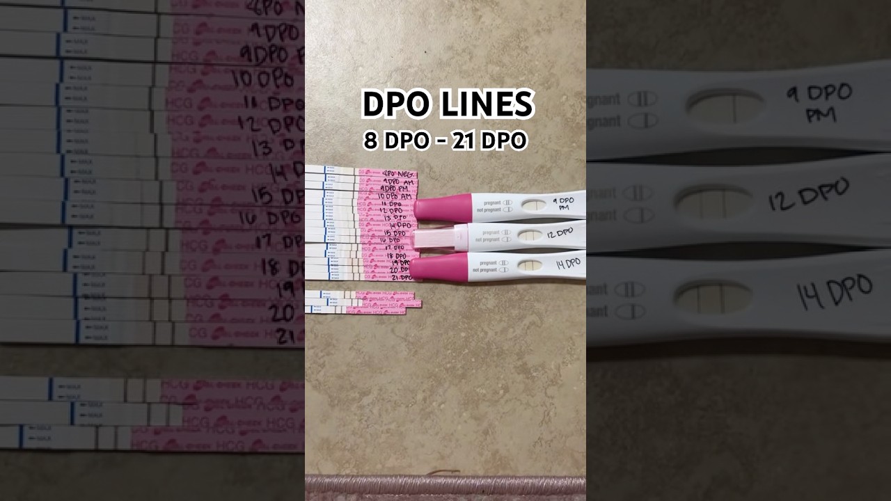 DPO lines day by day ( 8 DPO- 21 DPO )