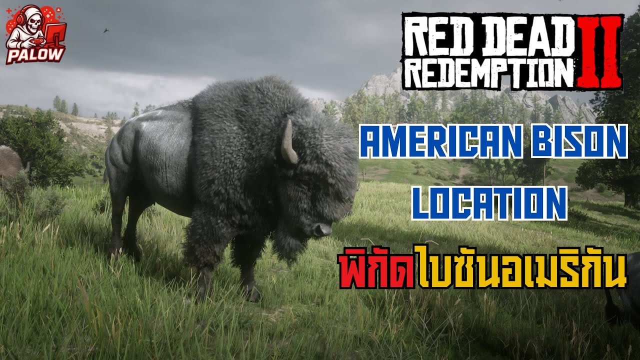 RDR2 American Bison Location | พิกัดไบซันอเมริกัน