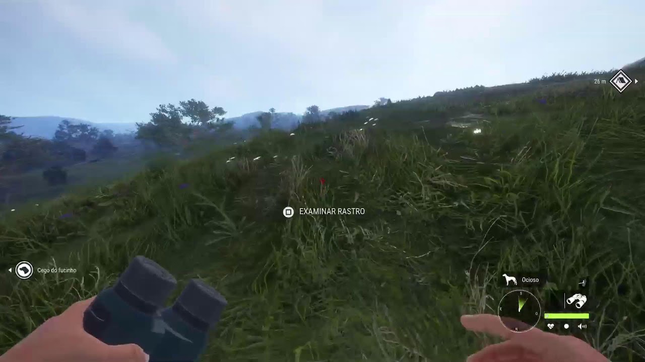 Uma horinha até bater o sono - TheHunter