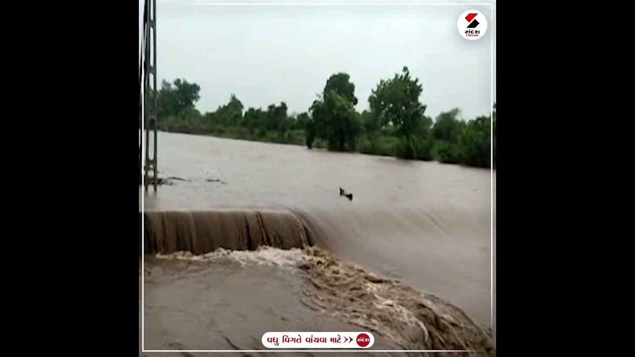 Amreli Heavy Rain : અમરેલીના ખાંભા ગીરની ધાતરવડી નદીમાં આવ્યું ઘોડાપૂર | Gujarat Rain | Monsoon