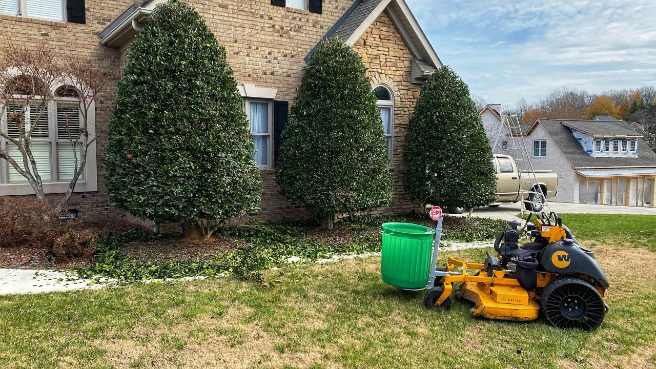 SOLO HEDGE TRIMMING! [Oddly Satisfying]