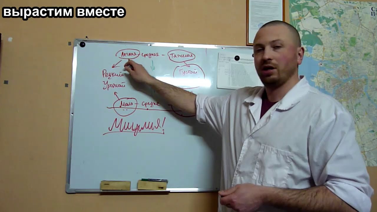 Шок и формировании завязей шампиньонов.Техника охлаждения для всех.Выращивания шампиньонов.