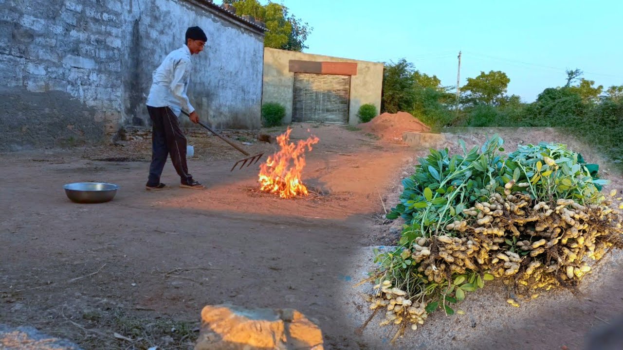 aaje mandvi na ora banayava#rahulahir #villagelife