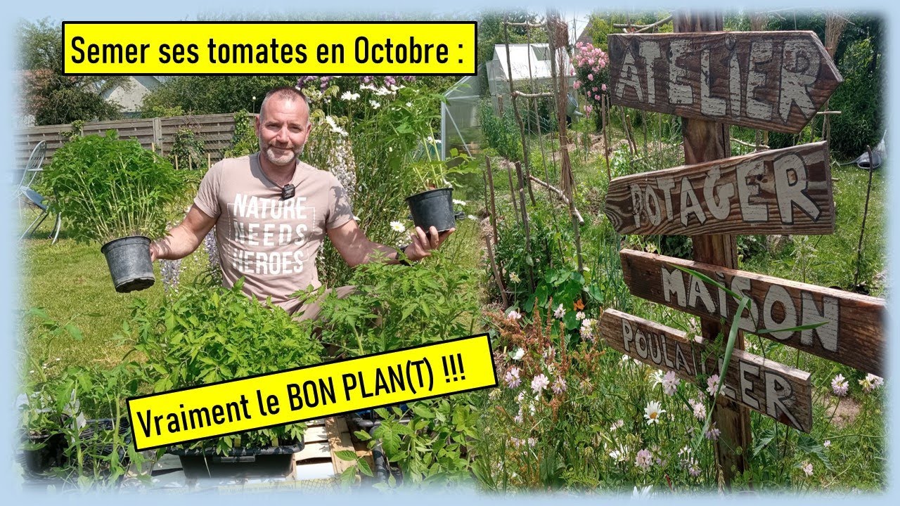 SEMER SES TOMATES EN OCTOBRE : vraiment un bon plan(t) !