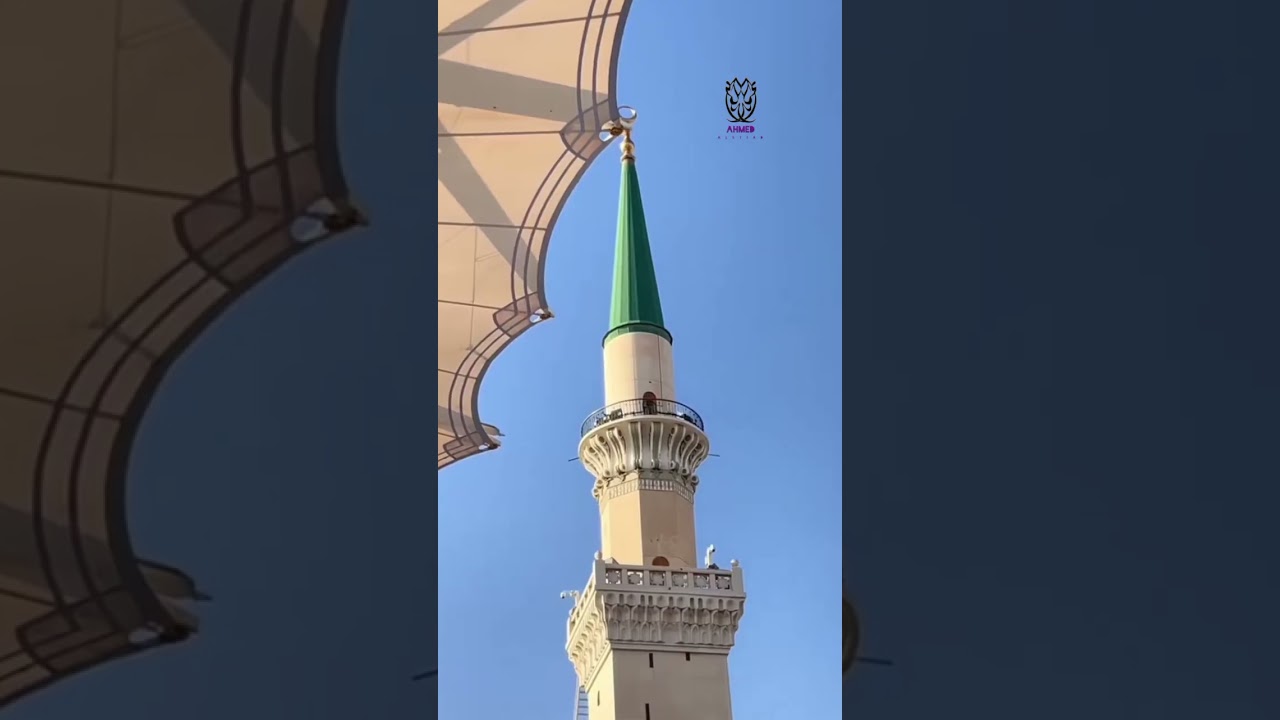 حب النبي المأمون سلب عقلي وفؤادي بصوت المداح عمار العبيدي 