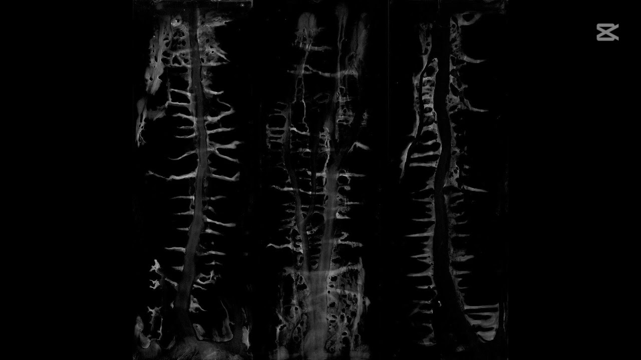 [FREE] Dark Melodic Type Beat ''Datura'' #darktypebeats #darkbeat #melodicbeats #fyp