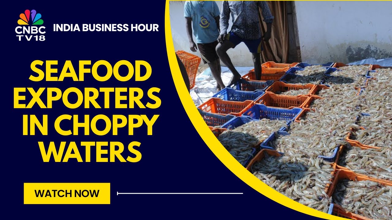 Trump Tariffs: India's Shrimp Industry Braces For A Massive Shrink In Revenues