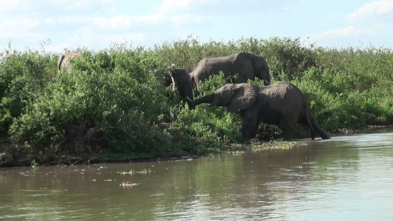 exploring Rufiji river
