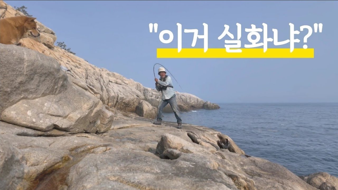 황도 달래가 놀란 대물! 이렇게 큰 고기 처음 봤슈?