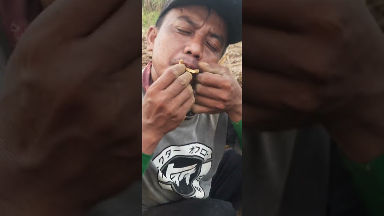 EMASE di habiskan lik...hardi temuan banyak emas di siang hari