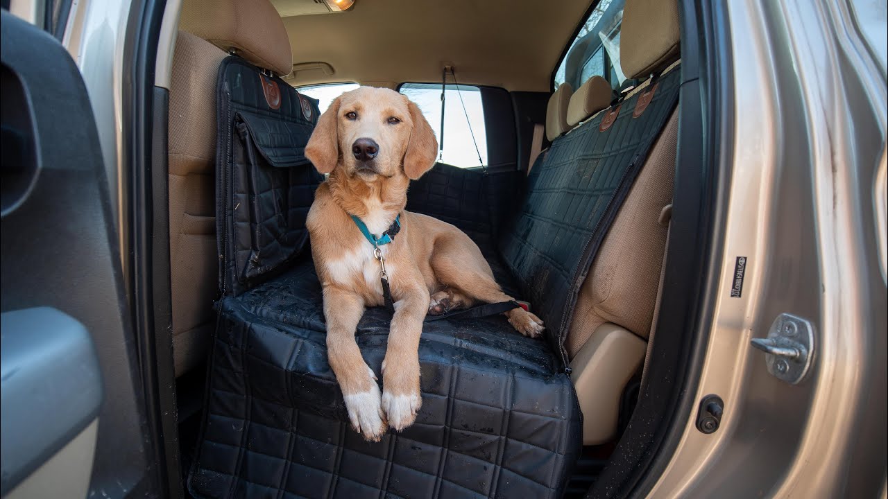 The LAST Dog Seat Cover You&rsquo;ll Need - APetsPlanet