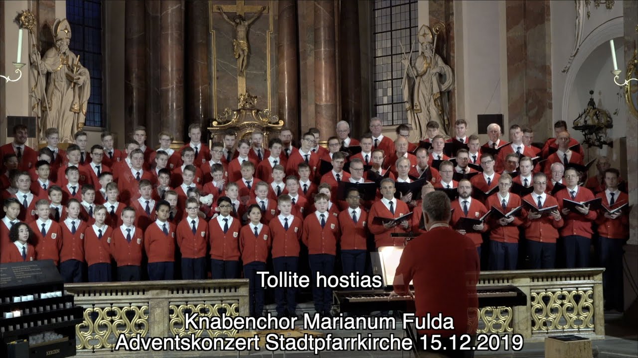 Adventstür 23: Tollite hostias -Knabenchor Marianum Fulda - Adventskonzert Stadtpfarrkirche 2019