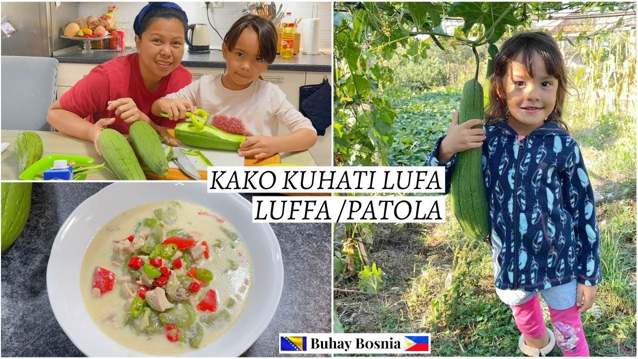 Azijeka tikva lufa, od sadnje do kuhanja | Patola or Luffa from growing to harvesting to cooking
