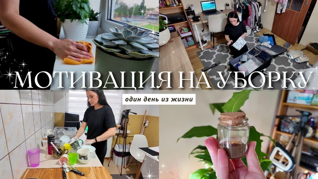 💥 МОЩНАЯ МОТИВАЦИЯ НА УБОРКУ, после которой ХОЧЕТСЯ убираться!💪 🍎 Продуктовая закупка в Biedronka 🐞