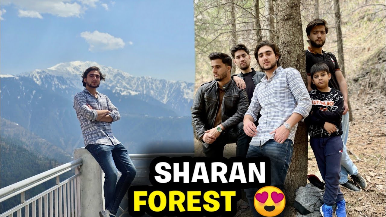 Sharan Forest 🤩 | Day Out ln Sharan Valley With Family🫀 | zunair shah vlogs