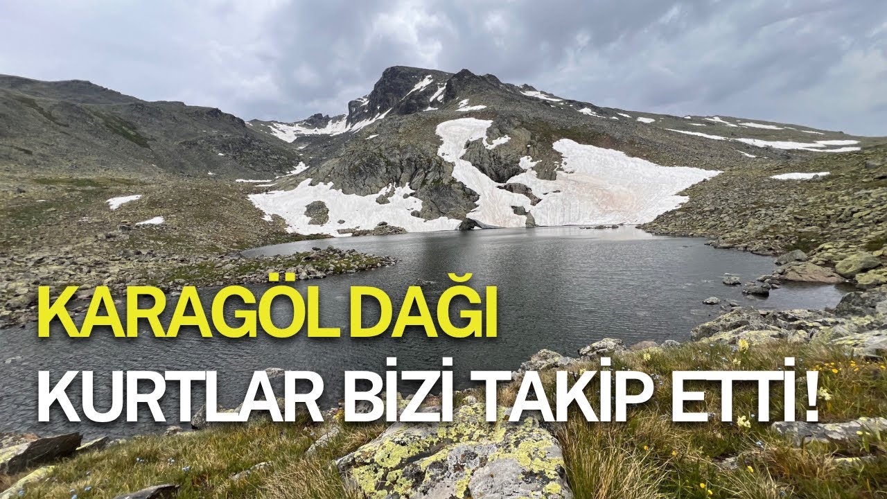 Kurtlar Bizi Takip Etti! Giresun Karag&ouml;l&rsquo;de T&uuml;yler &Uuml;rperten Anlar