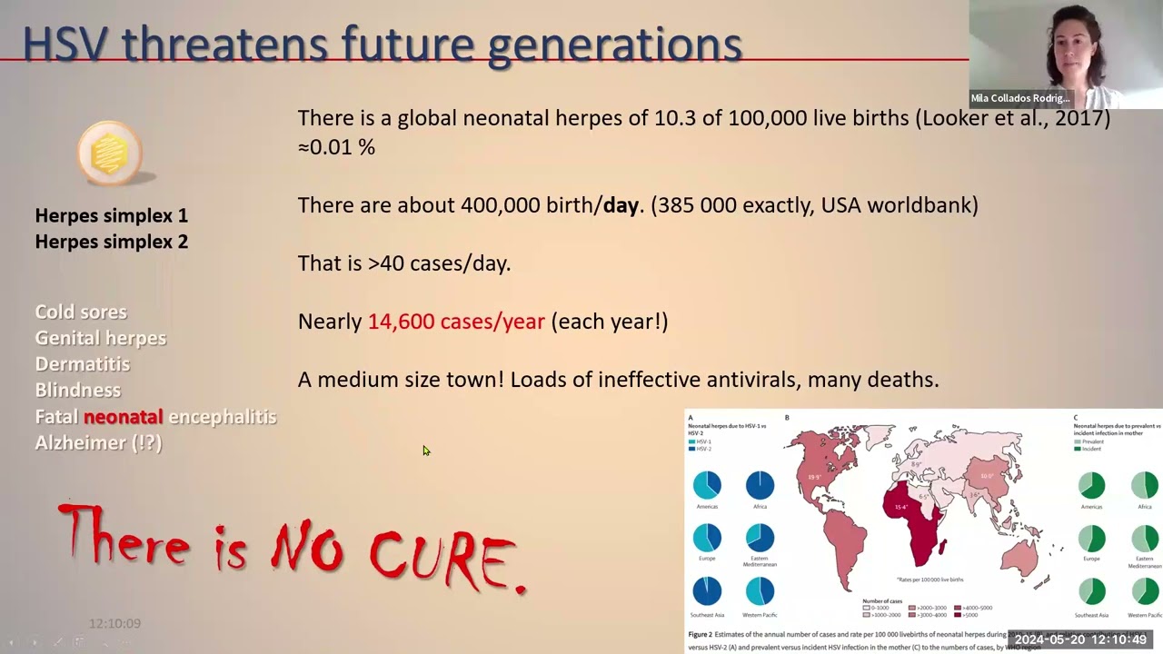Dangerous Ideas - Eliminating herpesviruses to ameliorate diseases of unknown cause