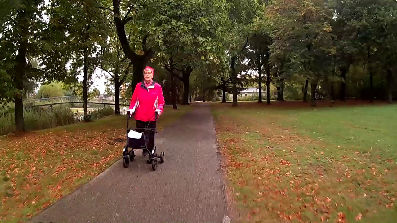 Adriaan op weg naar het vlinderboek