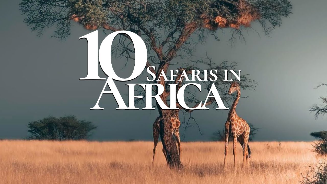 10 самых красивых сафари в Африке 🐘 | Путеводитель по сафари
