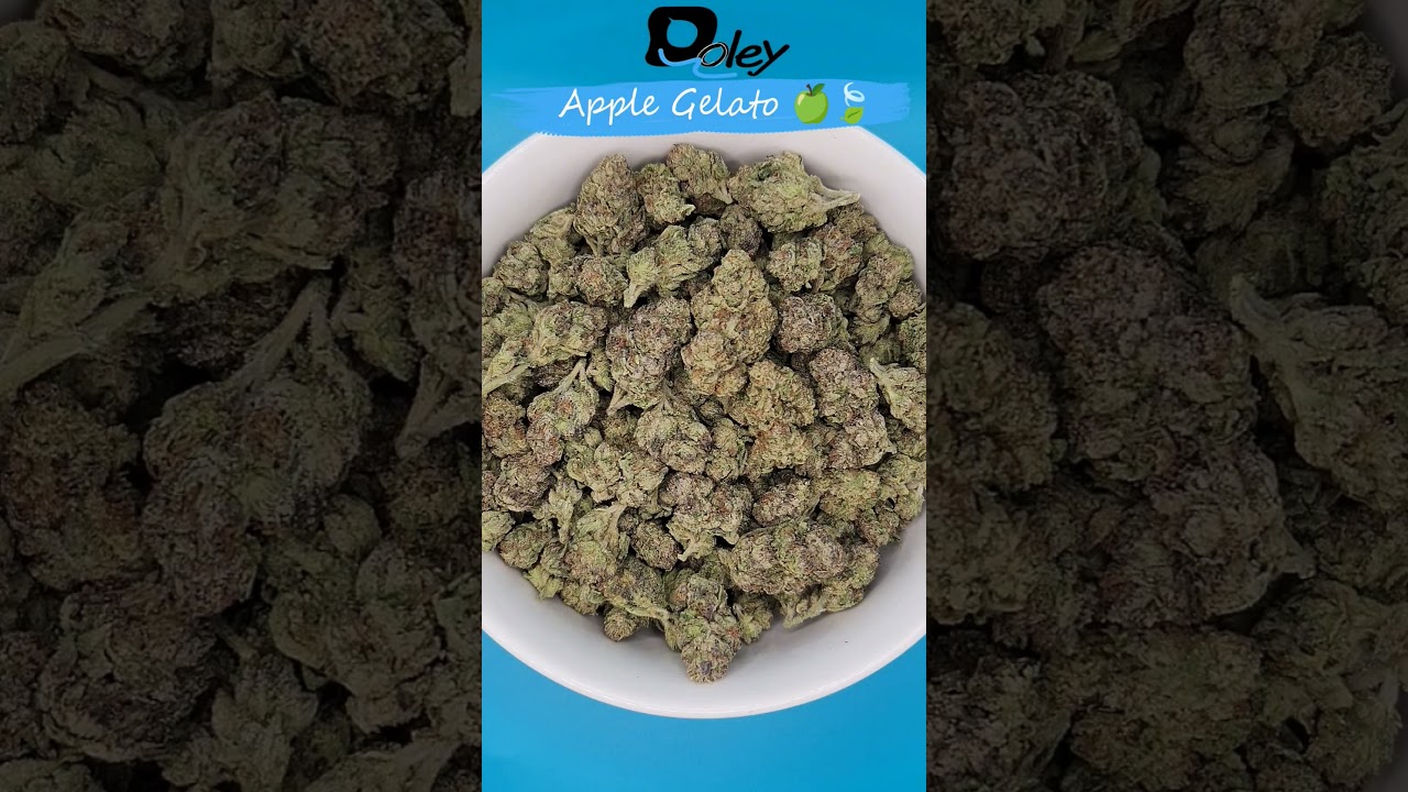 Apple Gelato 🍏🍃