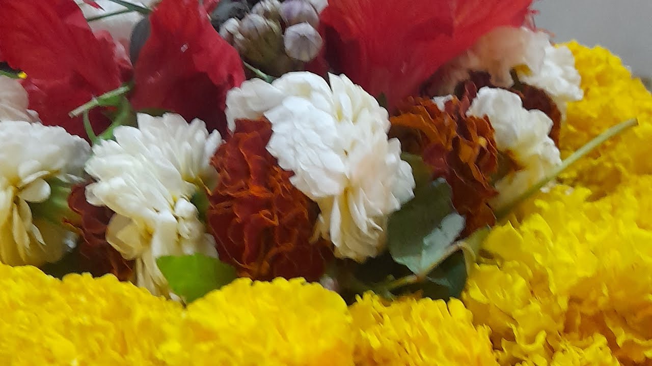 हेलो फ्रेंड हर हर महादेव।सपोर्ट कीजिए सपोर्ट लीजिए।