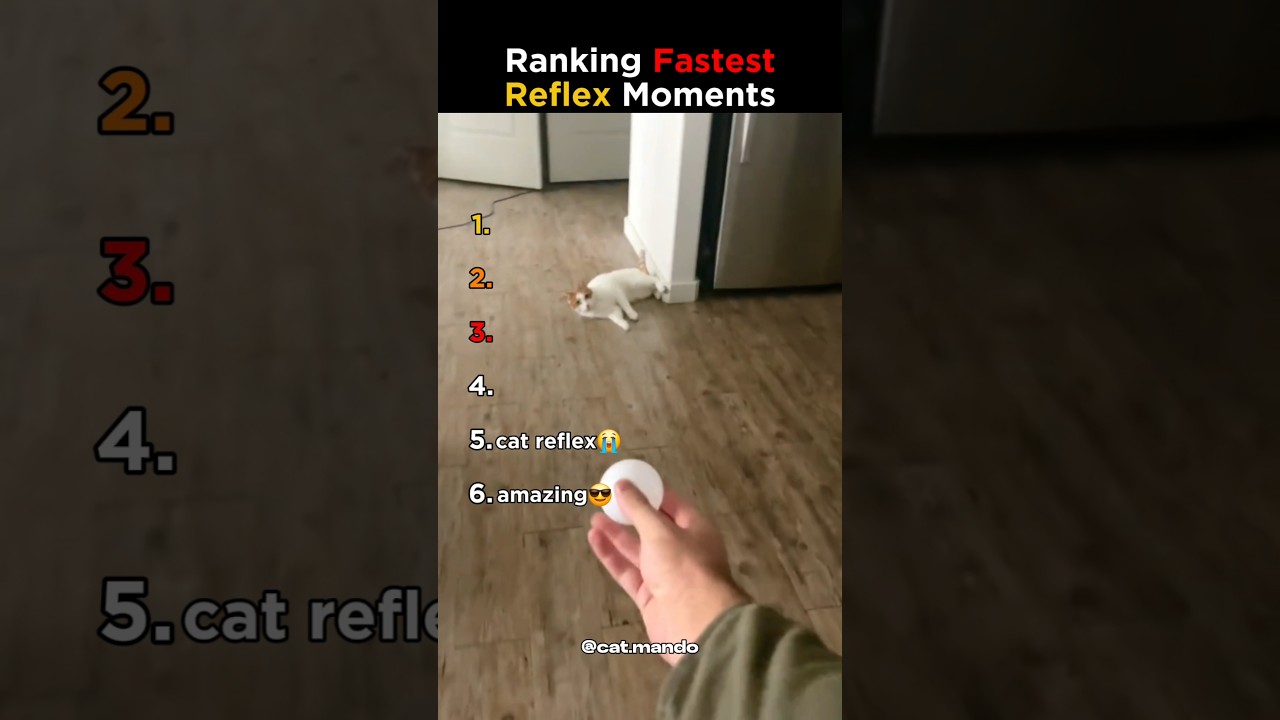 Ranking Fastest Reflexes Moments #shorts