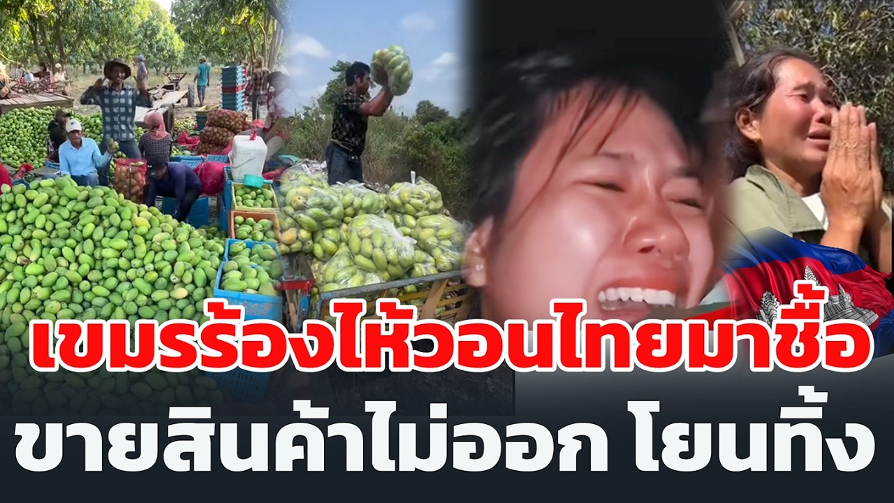 เขมรร้องไห้วอนไทยมาชื้อ ขายสินค้าไม่ออก โยนทิ้ง
