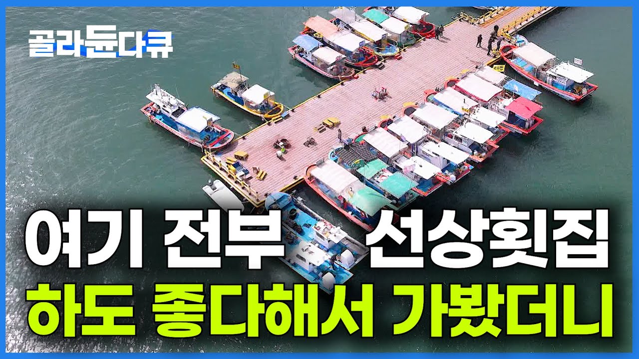 우리나라에서 모르는 사람 없다는 그 선상횟집. 하도 싸고 싱싱하다 그래서 가봤다｜바로 회 떠 먹는 삼길포항｜한국기행｜#골라듄다큐