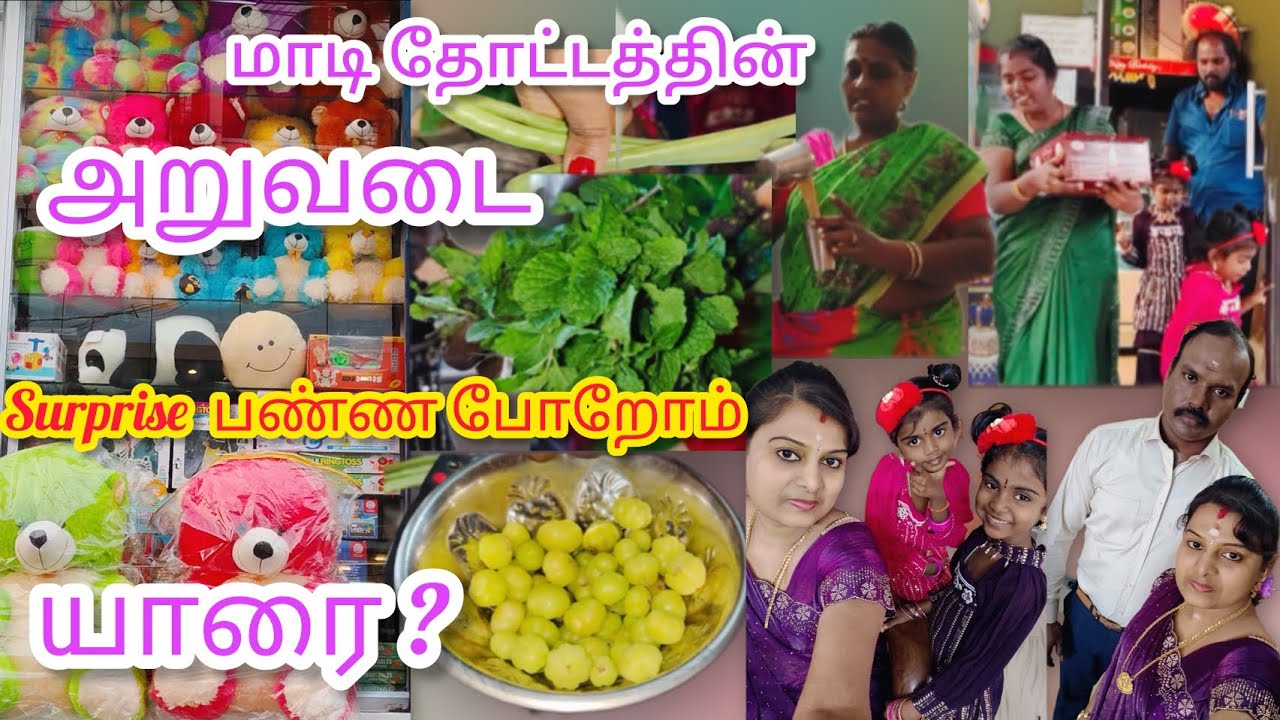 யாரை Surprise பண்ண போறோம் ⁉️ அம்மா வீட்டு மாடித்தோட்டத்தின் அறுவடை | surprise vlog in tamil 