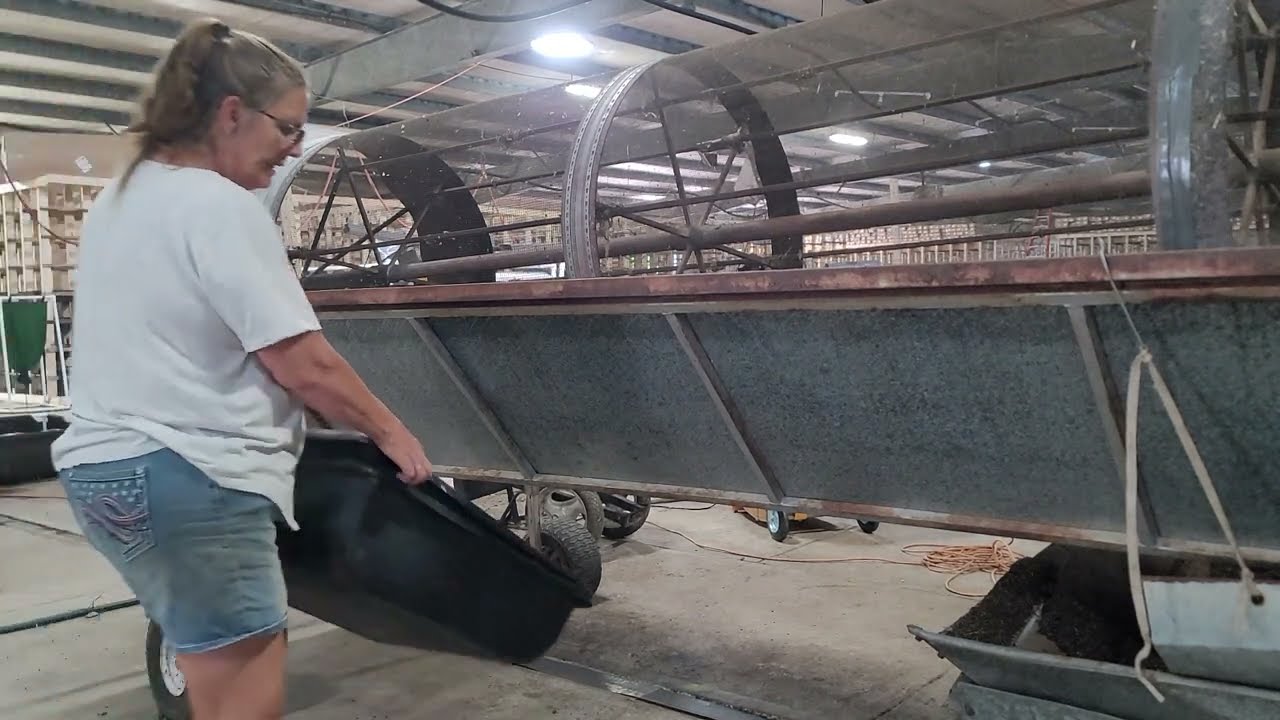 Самый простой способ собрать червей на продажу — пошаговое руководство (часть 1)