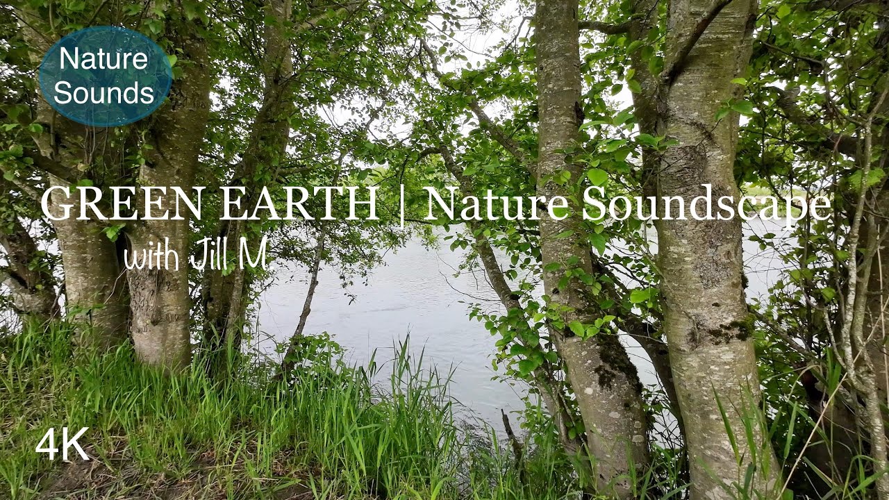 Nature Soundscape:  River Flowing Steadily, Local Birdsong -Spring