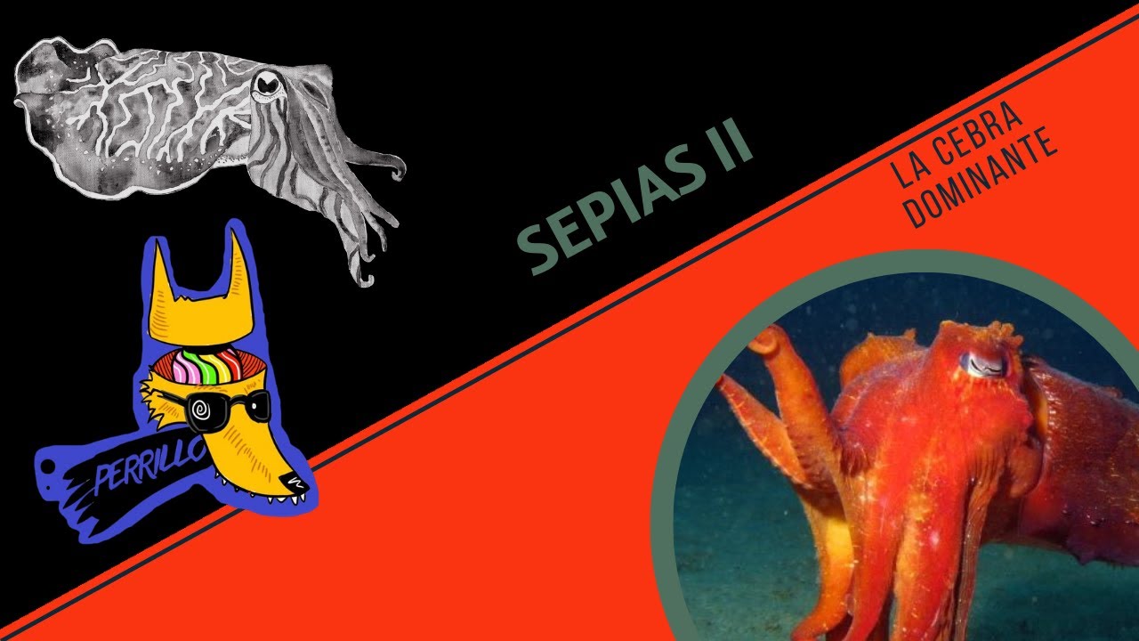 Sepias II: ¿Qué es esa otra loquera, mae? | Ep 96| CULTURA COLMILLUDA