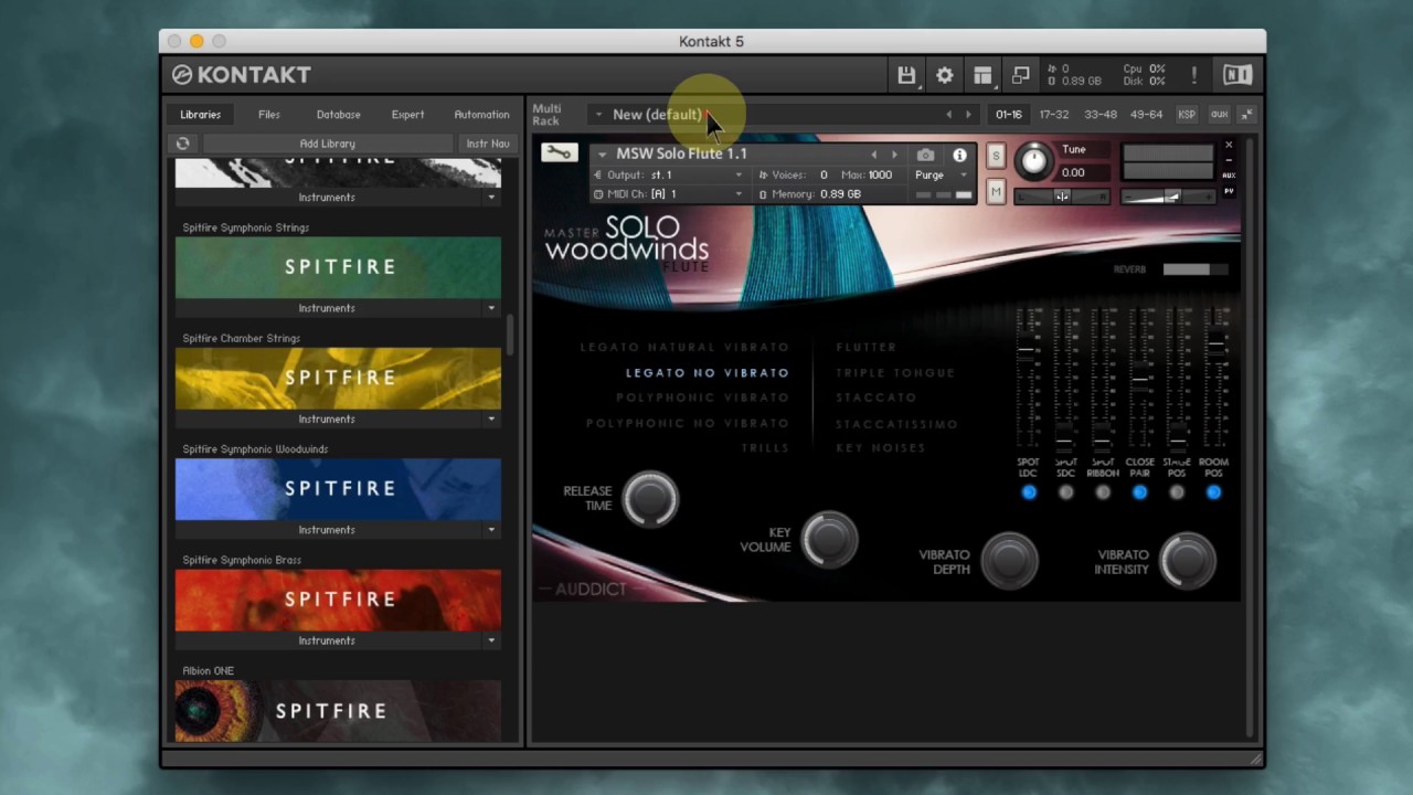Auddict Master Solo Woodwinds -  Flute