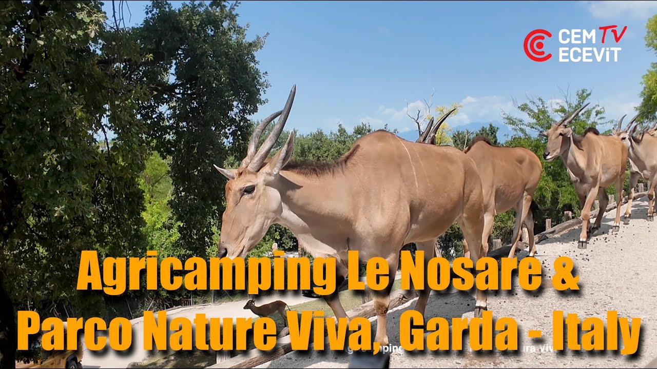Doğa'nın kalbinde bir karavan kampı, Agricamping Le Nosare & Parco Nature Viva, Garda - İtalya